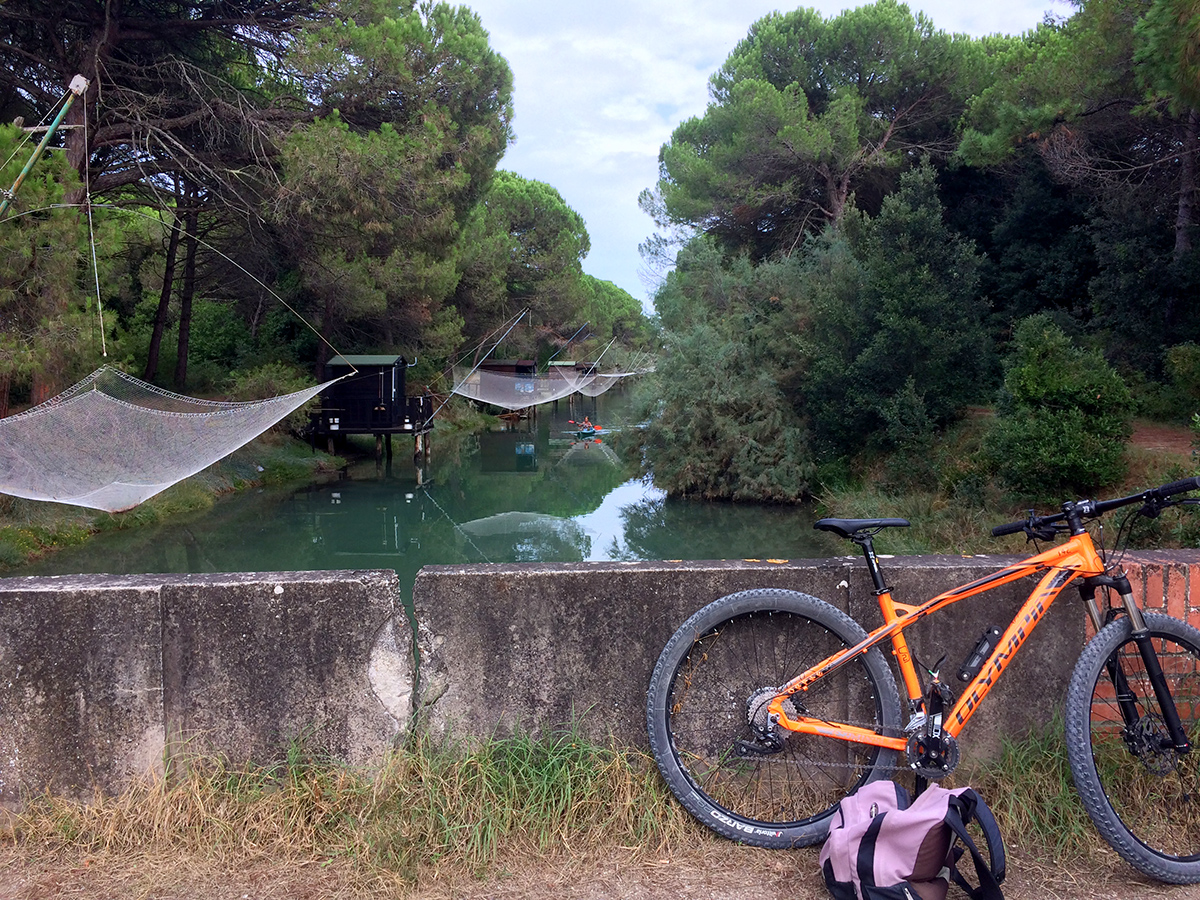 Pineta di Cervia