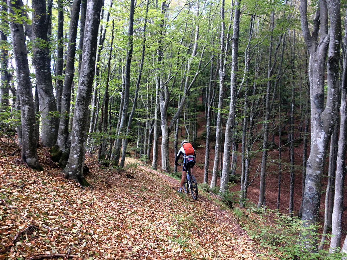 Trail verso il Passo dei Tre Faggi