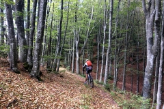 Trail verso il Passo dei Tre Faggi