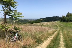 Sentieri del Rubicone presso Monteleone