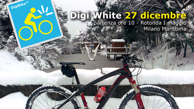 DigiWhite 2016