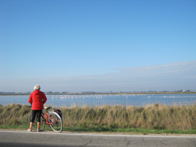 Eventi 2016, si parte con Cervia Blu