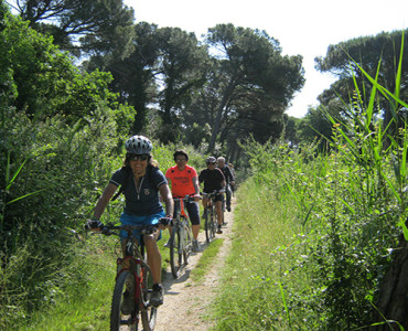 Cervia Verde