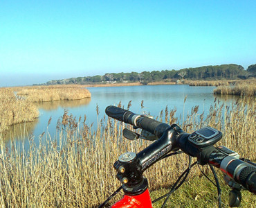 Cervia Oro