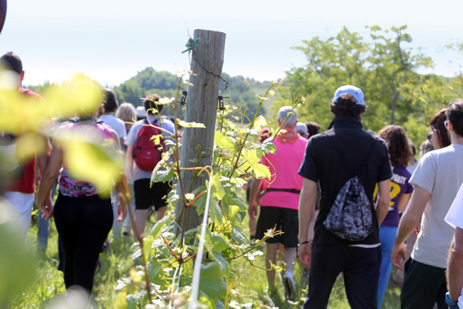 Romagna, palcoscenico naturale del wellness