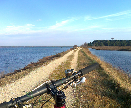 Ravenna NatuRa