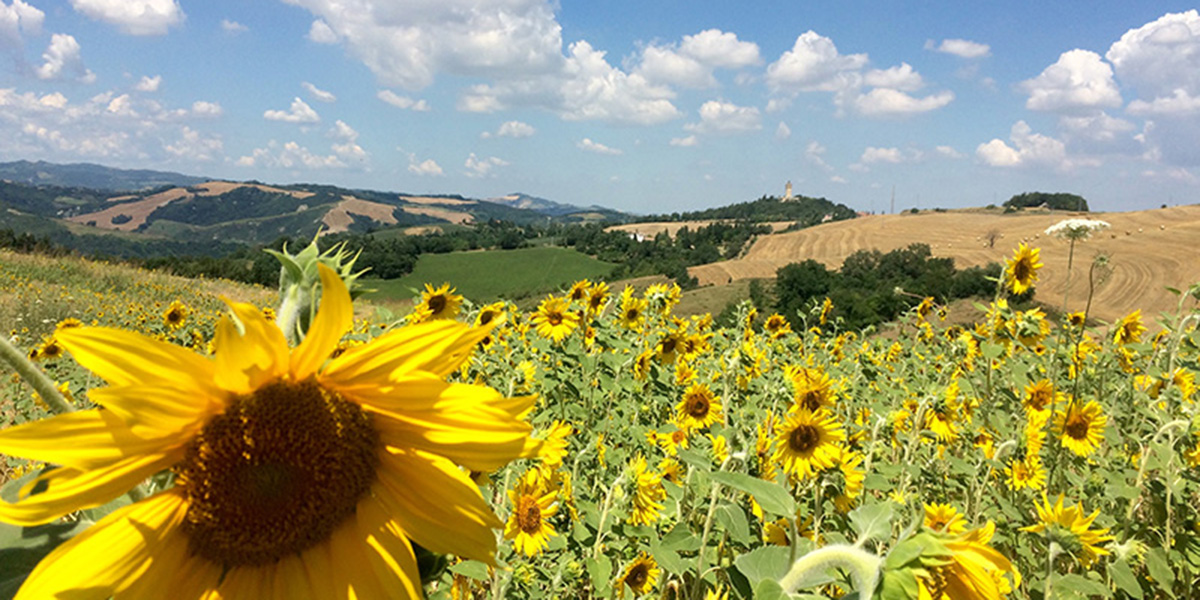 Predappio Tour