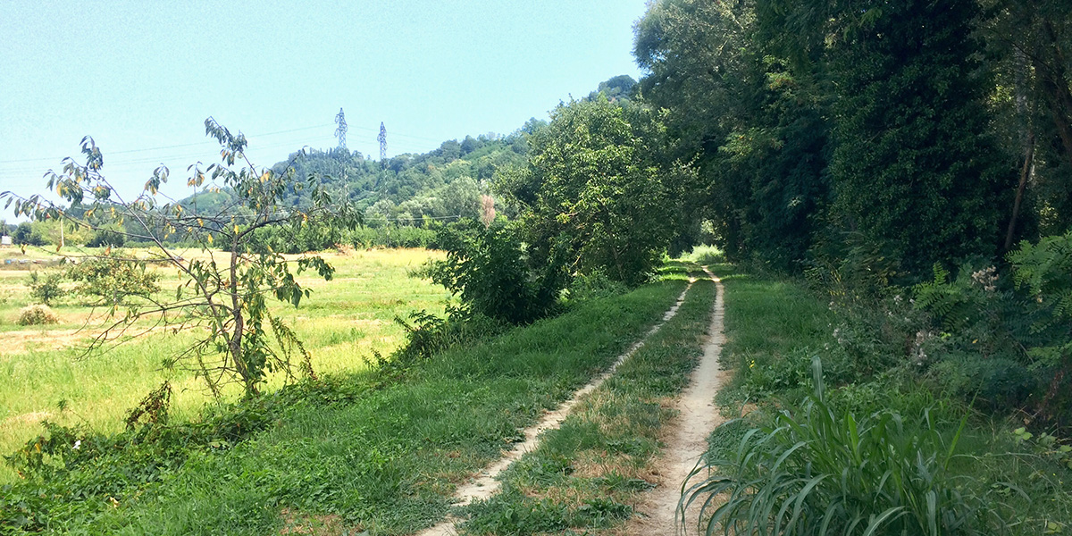 Bertinoro – Cesena