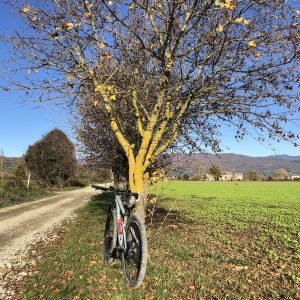 Campagne e strade bianche intorno a Sansepolcro