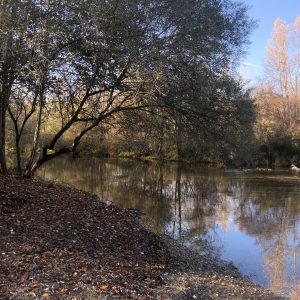 il fiume Tevere