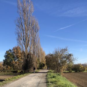 Rientro a Sansepolcro lungo il fiume Tevere