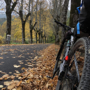 Autunno dorato a Bagno di Romagna