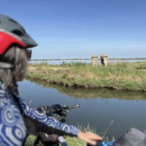 Le Saline di Cervia
